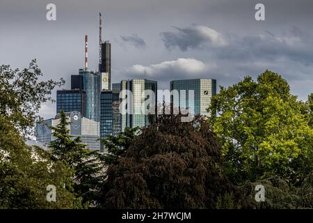 Francoforte - meno, Germania - 13 settembre 2021: Fotografo tedesco che visita il cosiddetto Palmengarten, un giardino botanico, in una giornata di sole. Foto Stock