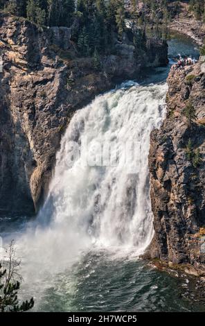 Cascate superiori sul fiume Yellowstone, parco nazionale di Yellowstone, Wyoming, USA Foto Stock