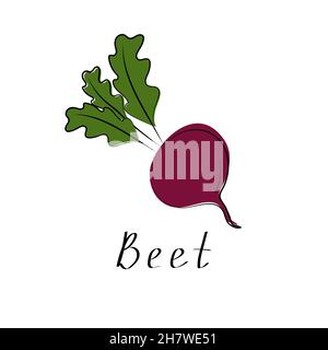 Barbabietola fresca con foglia. Icona vegetale organico. Illustrazione vettoriale. Sfondo bianco isolato Illustrazione Vettoriale