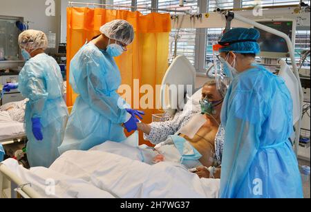 Brno, Repubblica Ceca. 25 Nov 2021. Covidarium presso la clinica cardiologica interna dell'Ospedale Universitario St. Anna di Brno, Repubblica Ceca, 25 novembre 2021. Credit: Patrik Uhlir/CTK Photo/Alamy Live News Foto Stock