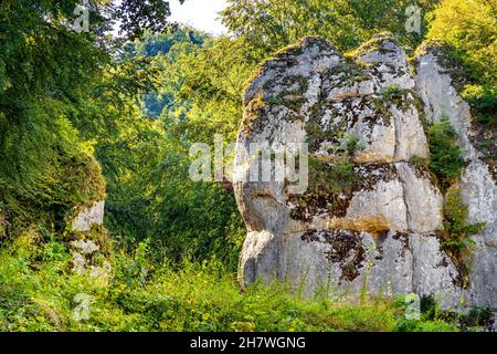 Porta di Cracovia - Brama Krakowska - porta di pietra calcarea Jurassic Formazione nella valle del torrente Pradnik di Cracovia-Czestochowa in Ojcow Nella Polonia minore Foto Stock