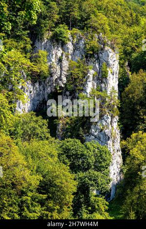 Vista panoramica della valle del torrente Pradnik con la montagna calcarea jurassic Rocce di Cracovia-Czestochowa upland in Ojcow in Polonia minore Foto Stock