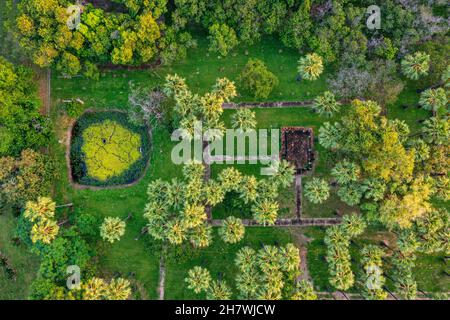 Vista aerea di un modello di piantagione industriale di alberi di palma Foto Stock