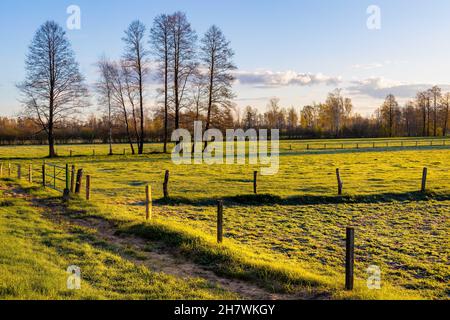 Vista primaverile delle zone umide e delle dighe della valle del fiume Narew Paesaggio nel villaggio di Maliszewo nella regione di Podlasie in Polonia Foto Stock