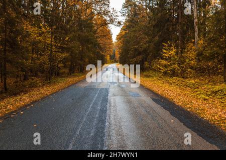 strada asfaltata vuota e bella foresta colorata in autunno Foto Stock
