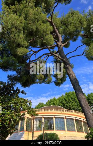 Jardin des plantes, Grasse, Alpes MartTimes, 06, Region sud Foto Stock