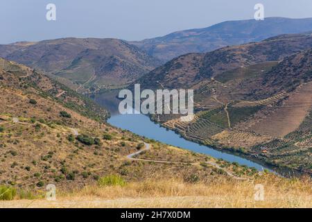 Fiume Douro vicino alla foce del fiume COA. Comune di Vila Nova de Foz COA. Regione del Douro. Foto Stock