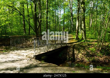 Eine Brücke im Wald. Foto Stock