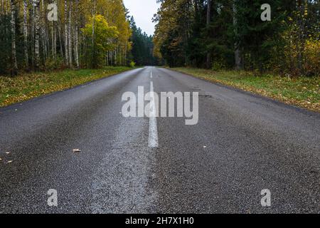 strada asfaltata vuota e bella foresta colorata Foto Stock