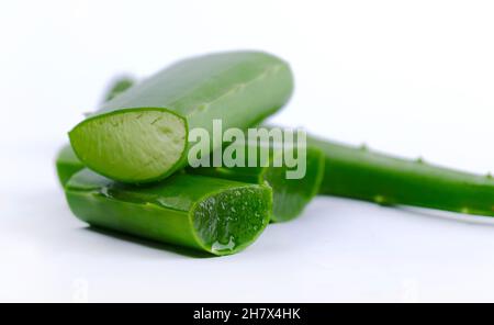 Primo piano del gel organico verde fresco di aloe vera trasparente in ciotola, isolato su bianco, la luce passa attraverso il gel trasparente, prodotto per la cura della pelle. Foto Stock