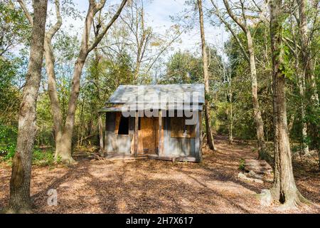 NEW ORLEANS, LA - 19 DICEMBRE 2020: Baracca di legno nella foresta Foto Stock