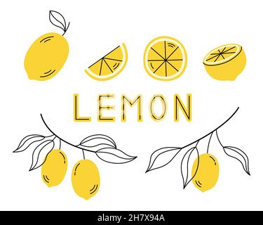 Set di frutta fresca al limone con foglie. Illustrazione vettoriale isolata su sfondo bianco. Illustrazione Vettoriale