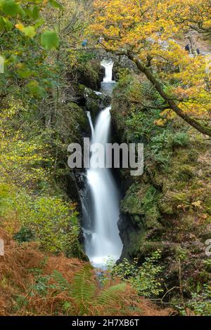 Vista autunnale della cascata dell'Aira Force nel Lake District National Park, Cumbria, Inghilterra, Regno Unito, nel mese di novembre Foto Stock