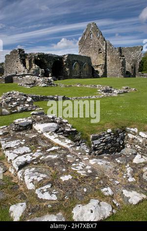 Glenluce 12 ° secolo Cistercense Abbazia rovina, Dumfries & Galloway, Scozia Foto Stock