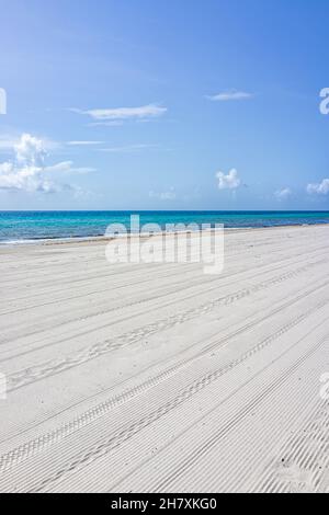 Spiaggia di sabbia con piste livellanti a Hollywood Beach a North Miami, Florida durante la giornata di sole con cielo blu e acqua turchese marrone alghe verticali v Foto Stock