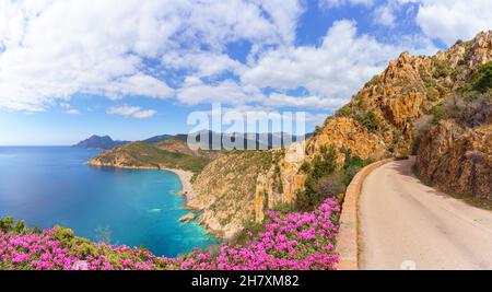 Paesaggio con Plage de Bussaglia e Calanques de piana, Corsica isola, Francia Foto Stock