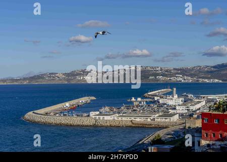 Tangeri, Marshan, Stati Uniti. 4 novembre 2021. Vista panoramica di Nouveau Port de Peche a Tangeri, Marocco (Credit Image: © Walter G Arce Sr Grindstone medi/ASP via ZUMA Press Wire) Foto Stock