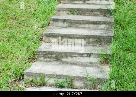 Gradini di pietra in una zona con abbondante erba verde durante la stagione delle piogge. Foto Stock