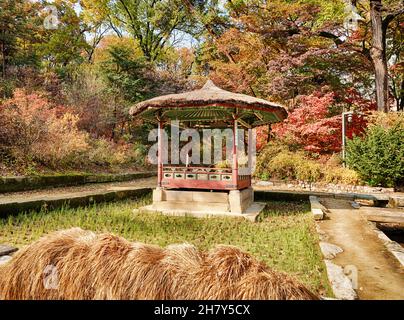 Una piccola villa coreana si trova all'interno di una risaia nei giardini reali di Changdeokgung. Foto Stock