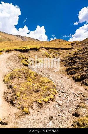 Sali a Vinicunca Rainbow Mountain in Perù Foto Stock