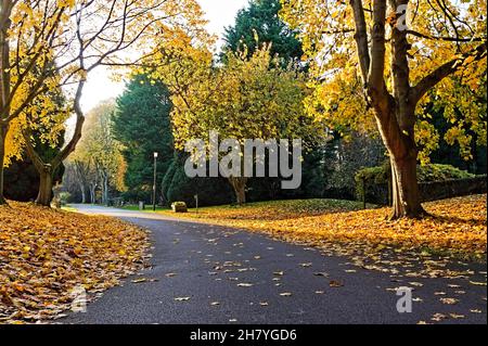 Una strada stretta che si snoda tra gli alberi nel vecchio cimitero in una giornata d'autunno soleggiata Foto Stock