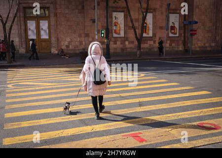 Jerewan, Armenia. 14 novembre 2021. Una donna cammina il suo cane piccolo attraverso un centro di crosswalk. Credit: Christian Charisius/dpa/Alamy Live News Foto Stock