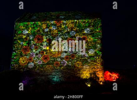 Proiezione dell'immagine del Castello di luce di fiori sul vecchio edificio della cappella di St Margaret, castello di Edimburgo, Scozia, Regno Unito Foto Stock