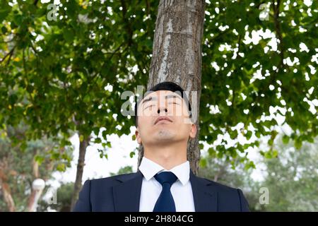 Da sotto tranquillo imprenditore asiatico maschile in tuta formale appoggiata su tronco d'albero con occhi chiusi mentre riposano nel parco il giorno d'estate Foto Stock