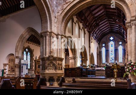 Wimborne Minster nella città di Wimborne. La nave. Foto Stock