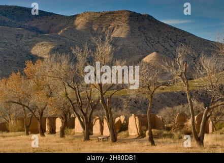 Alberi di Cottonwood alle rovine del Fort Selden state Monument nella valle di Mesilla vicino a Radium Springs, New Mexico, USA Foto Stock