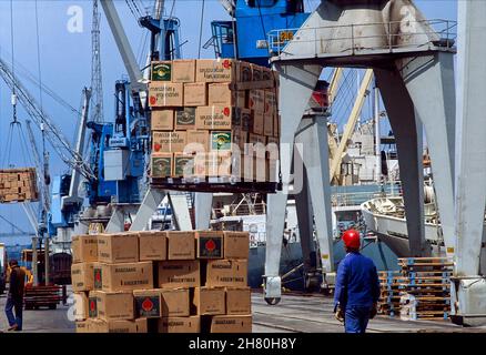 Le mele provenienti dall'Argentina vengono scaricate al magazzino 64 nel porto di Amburgo, Germania. Foto Stock