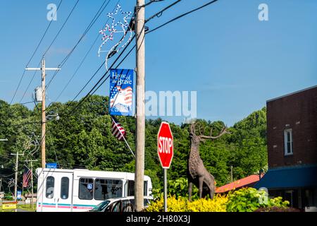 Banner Elk, USA - 23 giugno 2021: Banner Elk città piccolo villaggio in Carolina del Nord con American Flag casa del coraggioso segno patriottico con Foto Stock
