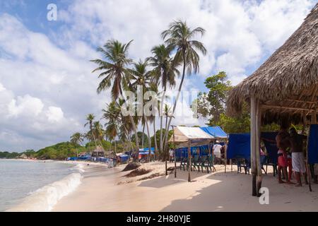 Cartagena de Indias, Colombia - 22 novembre 2010: Paesaggio di palme, sedie e bungalow mezzo-vuoto su una delle spiagge di Isla Baru, su una tempesta Foto Stock