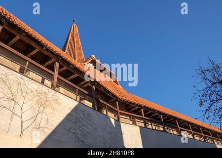 Nördlingen è una città della Baviera, in Germania. Il suo centro storico è circondato da mura medievali ben conservate con torri e sentieri coperti. Foto Stock