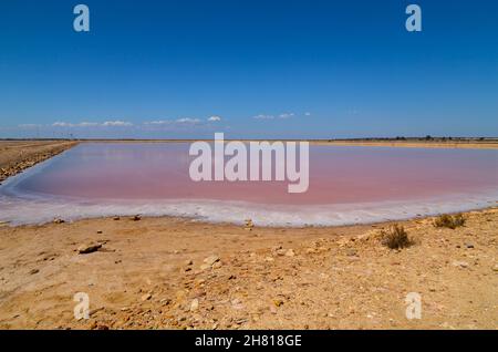 Salinas de Bonanza a Sanlucar de Barrameda, Cadice. Sito emblematico in Andalusia, Spagna Foto Stock