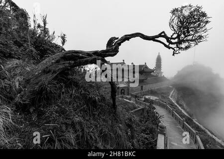 Il tempio al Fansipan a Sapa in Vietnam Foto Stock