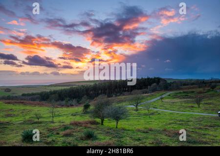 Portesham, Dorset, Regno Unito. 26 novembre 2021. Meteo Regno Unito. Le nuvole scure della doccia sono illuminate dal tramonto a Black Down vicino Portesham in Dorset davanti alla tempesta che si avvicina Arwen che è dovuto colpire durante la notte. Picture Credit: Graham Hunt/Alamy Live News Foto Stock