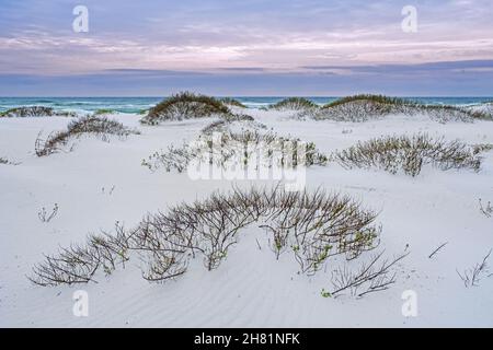 Dune di sabbia di quarzo bianco al tramonto lungo il Golfo del Messico a Gulf Islands National Seashore in inverno, Santa Rosa County, Florida, Stati Uniti / Stati Uniti Foto Stock