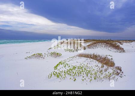 Dune di sabbia di quarzo bianco al tramonto lungo il Golfo del Messico a Gulf Islands National Seashore in inverno, Santa Rosa County, Florida, Stati Uniti / Stati Uniti Foto Stock