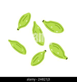 Cialde cardamomo su sfondo bianco. Illustrazione piatta vettoriale Illustrazione Vettoriale