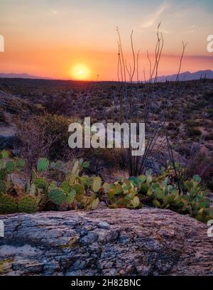 Tramonto vibrante nel deserto di sonora vicino Tucson. Foto Stock