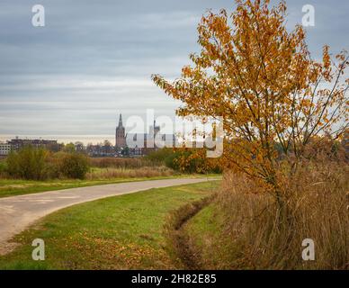 Cattedrale di San Giovanni nella città olandese Den Bosch in autunno visto dalla riserva naturale Bossche Broek Foto Stock