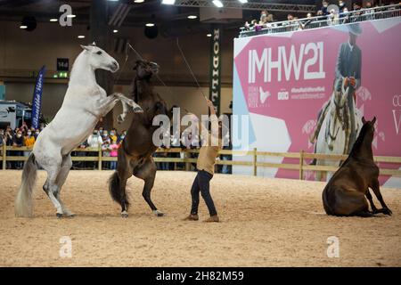 Madrid, Spagna. 26 novembre 2021. Spettacolo di dressage naturale durante la settimana dei cavalli di Madrid Ifema celebrata a Madrid. 26 novembre 2021 (Photo by Juan Carlos García Mate/Pacific Press) Credit: Pacific Press Media Production Corp./Alamy Live News Foto Stock