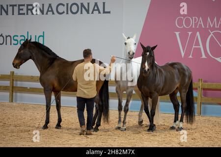 Madrid, Spagna. 26 novembre 2021. Spettacolo di dressage naturale durante la settimana dei cavalli di Madrid Ifema celebrata a Madrid. 26 novembre 2021 (Photo by Juan Carlos García Mate/Pacific Press) Credit: Pacific Press Media Production Corp./Alamy Live News Foto Stock