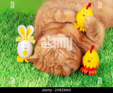 Un divertente gatto zenzero che dorme sulla schiena su erba sintetica con uova di Pasqua colorate Foto Stock