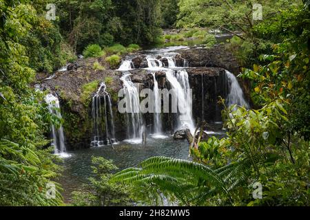 Cascate di Wallicher, Parco Nazionale di Wooroonooran, Queensland, Australia Foto Stock