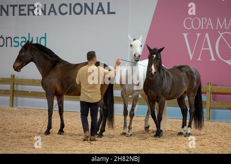 Madrid, Spagna. 26 novembre 2021. Spettacolo di dressage naturale durante la settimana dei cavalli di Madrid Ifema celebrata a Madrid. Credit: ZUMA Press, Inc./Alamy Live News Foto Stock