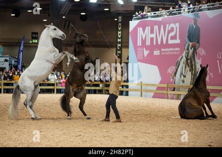 Madrid, Spagna. 26 novembre 2021. Spettacolo di dressage naturale durante la settimana dei cavalli di Madrid Ifema celebrata a Madrid. Credit: ZUMA Press, Inc./Alamy Live News Foto Stock