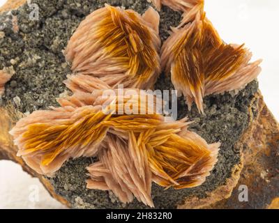 immagine macro di un campione minerale di raccolta Foto Stock