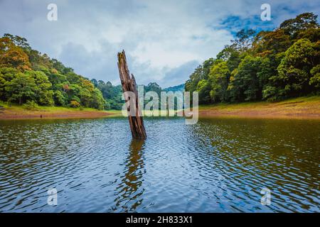 La natura è la chiave della nostra soddisfazione estetica, intellettuale, cognitiva e persino spirituale Foto Stock